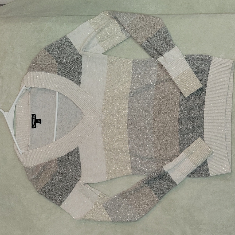 Express V neck sweater
